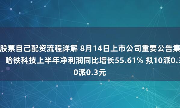 股票自己配资流程详解 8月14日上市公司重要公告集锦：哈铁科技上半年净利润同比增长55.61% 拟10派0.3元