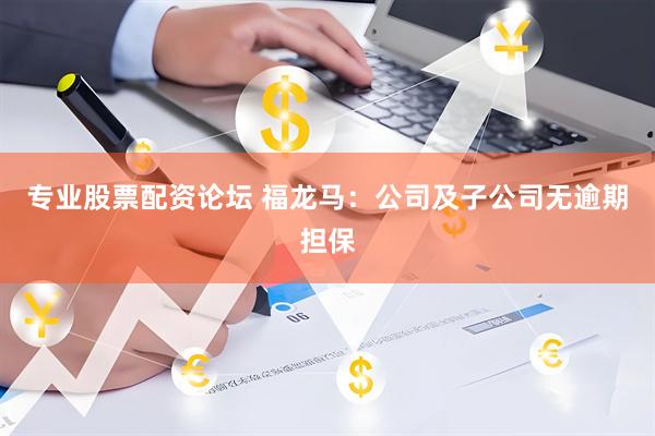 专业股票配资论坛 福龙马：公司及子公司无逾期担保